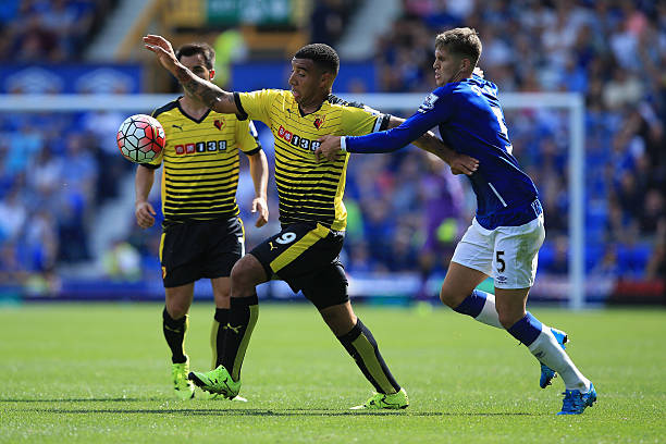 未来展望 未来展望